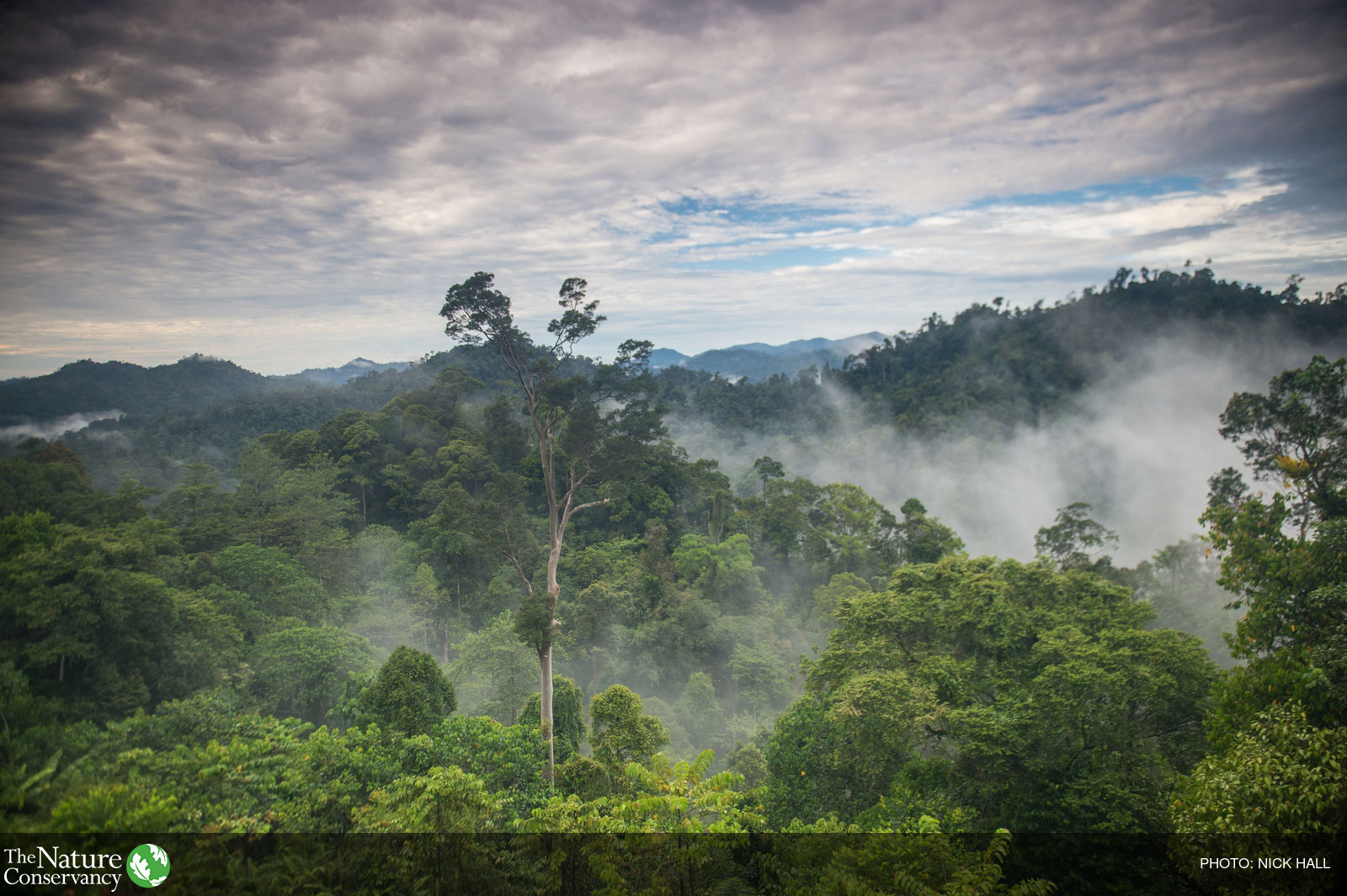 The Nature Conservancy's conservation initiatives in East Kalimantan, Indonesia. Photo ©Nick Hall for TNC